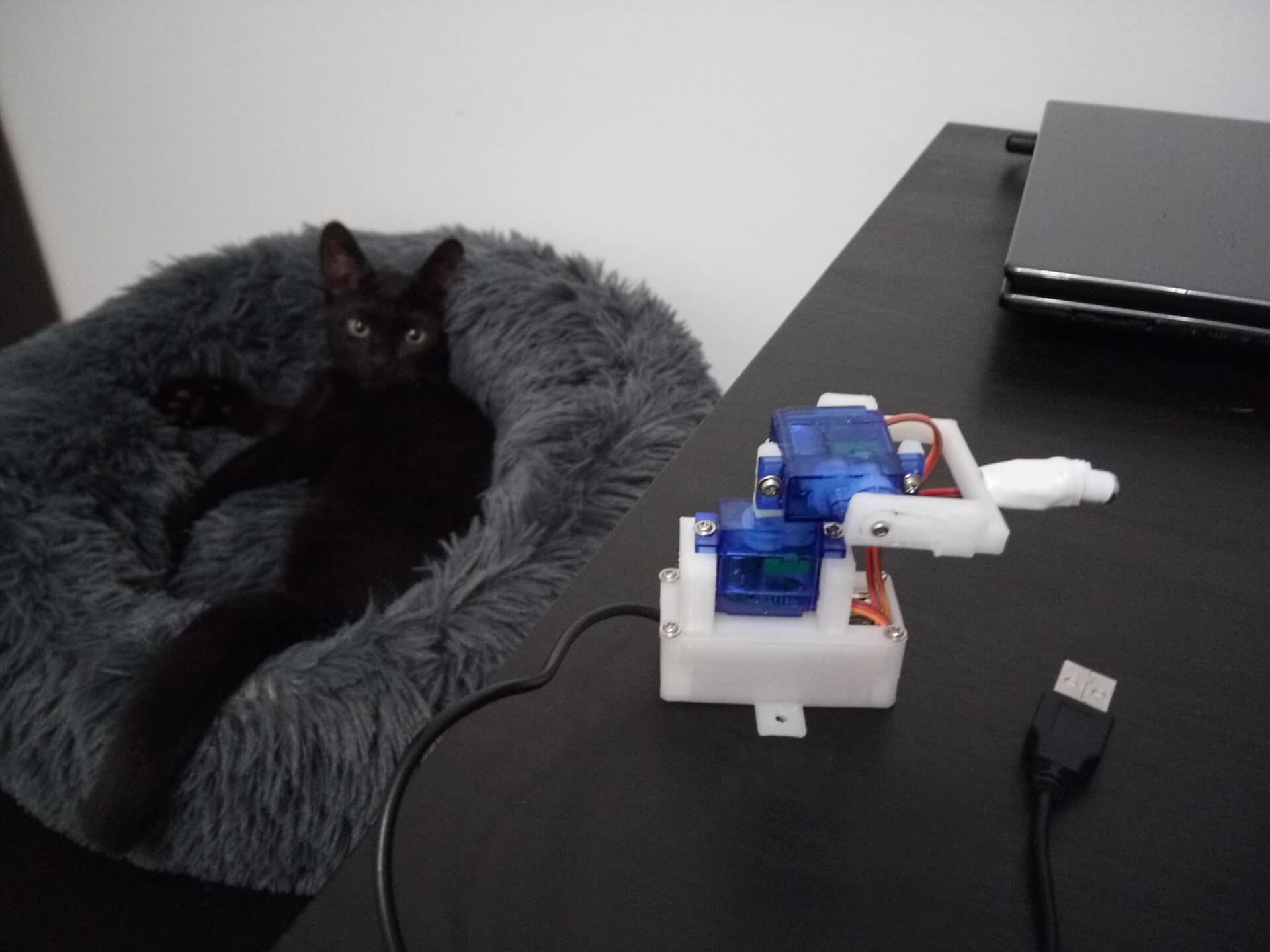 NVJOB. Nicholas Veselov. Automatic Laser Cat Toy (Arduino).